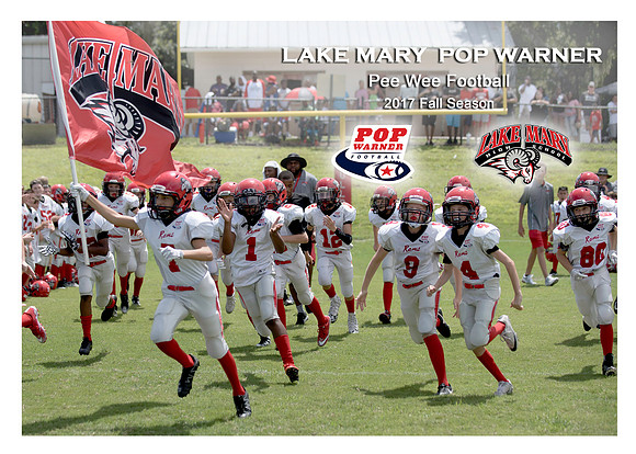 Football Field- Players Carrying Flag - 2 Pictures