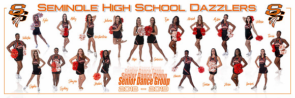 Dazzler Senior - 12x36 Pano Layout