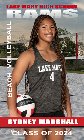 04 - 36 x 60 Beach Volleyball Banner